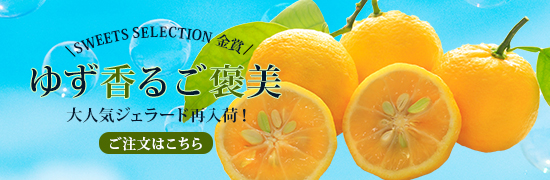 アイス新商品バナー【課題制作物】