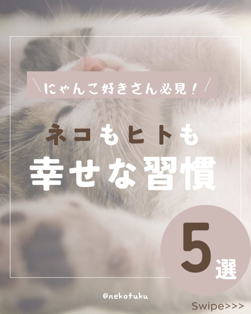 インスタ広告【課題作成】